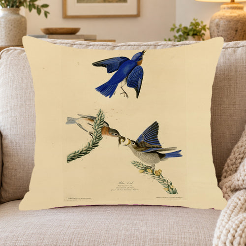 Eastern Bluebird Vintage Field Plate Throw Pillow Cover