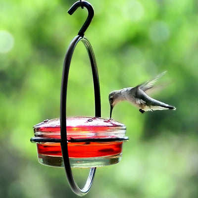 Gifts for Bird Lovers