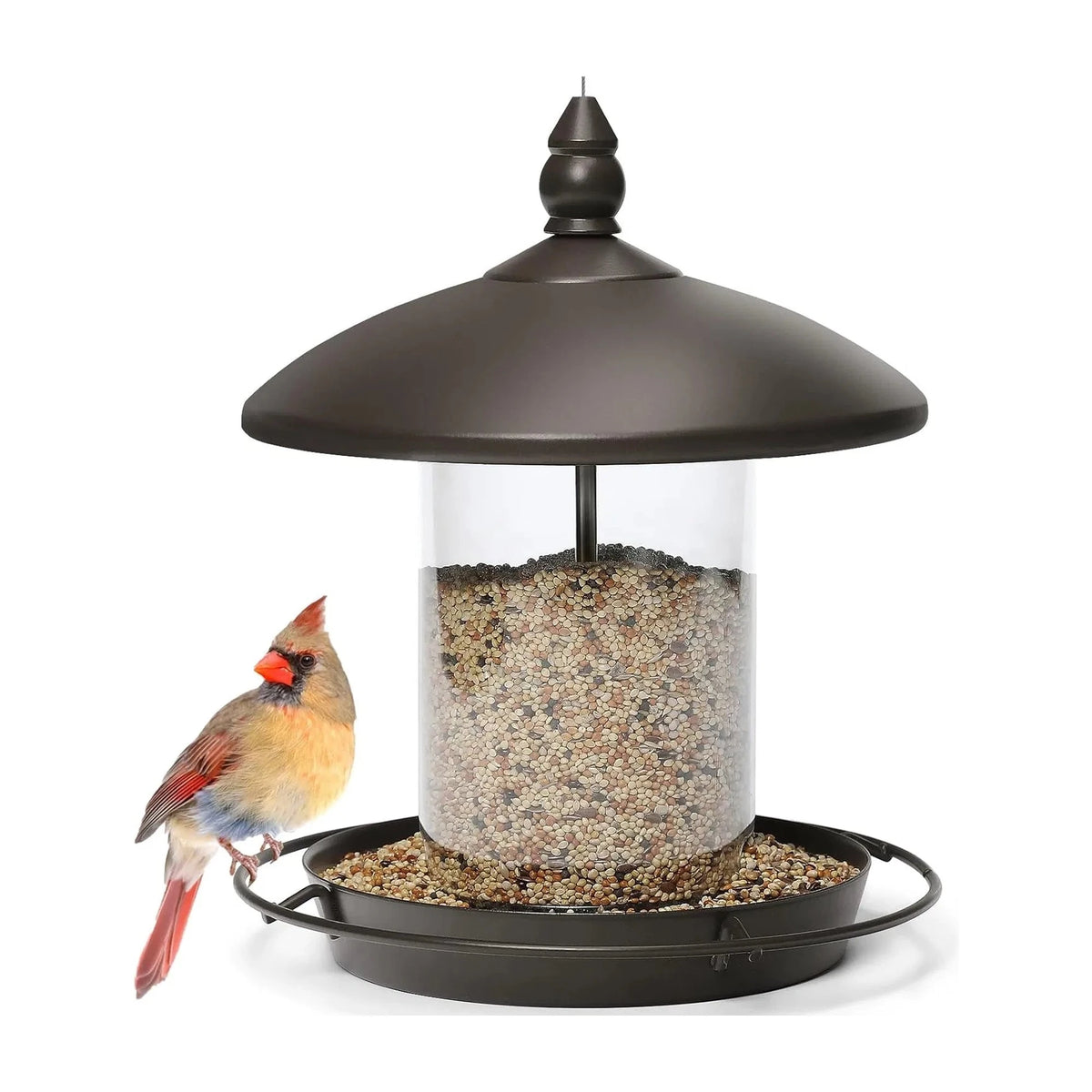 Metal Roof Bird Feeder with 360° Perch, Chew-Resistant