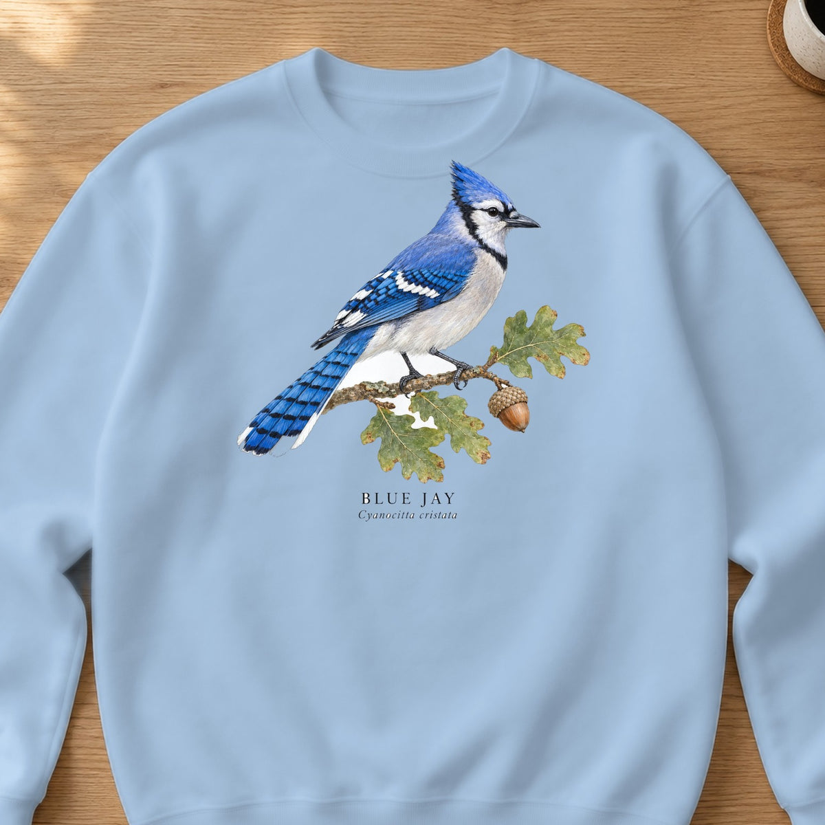Blue Jay Field Guide Crewneck Sweatshirt – Light Blue