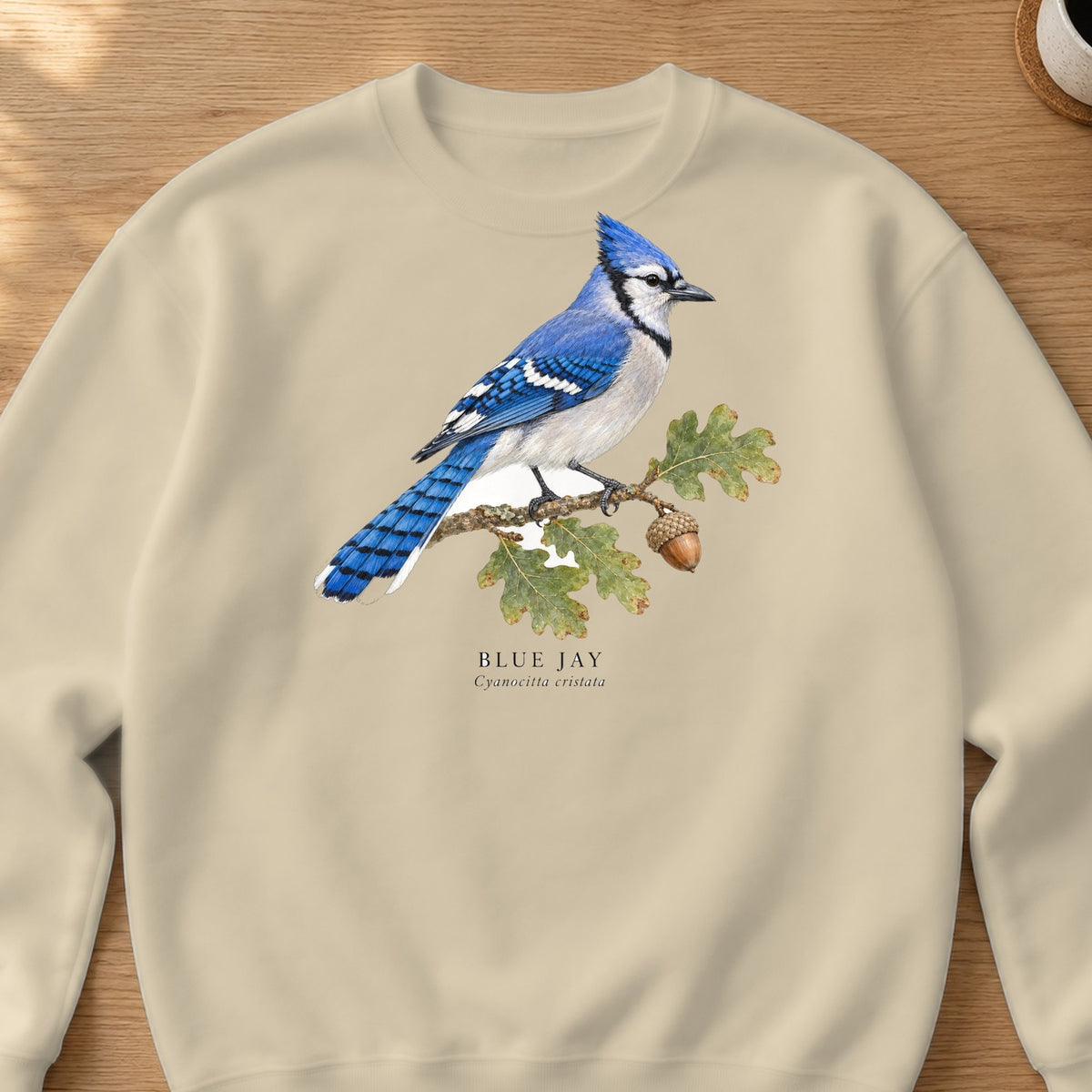 Blue Jay Field Guide Crewneck Sweatshirt – Sand