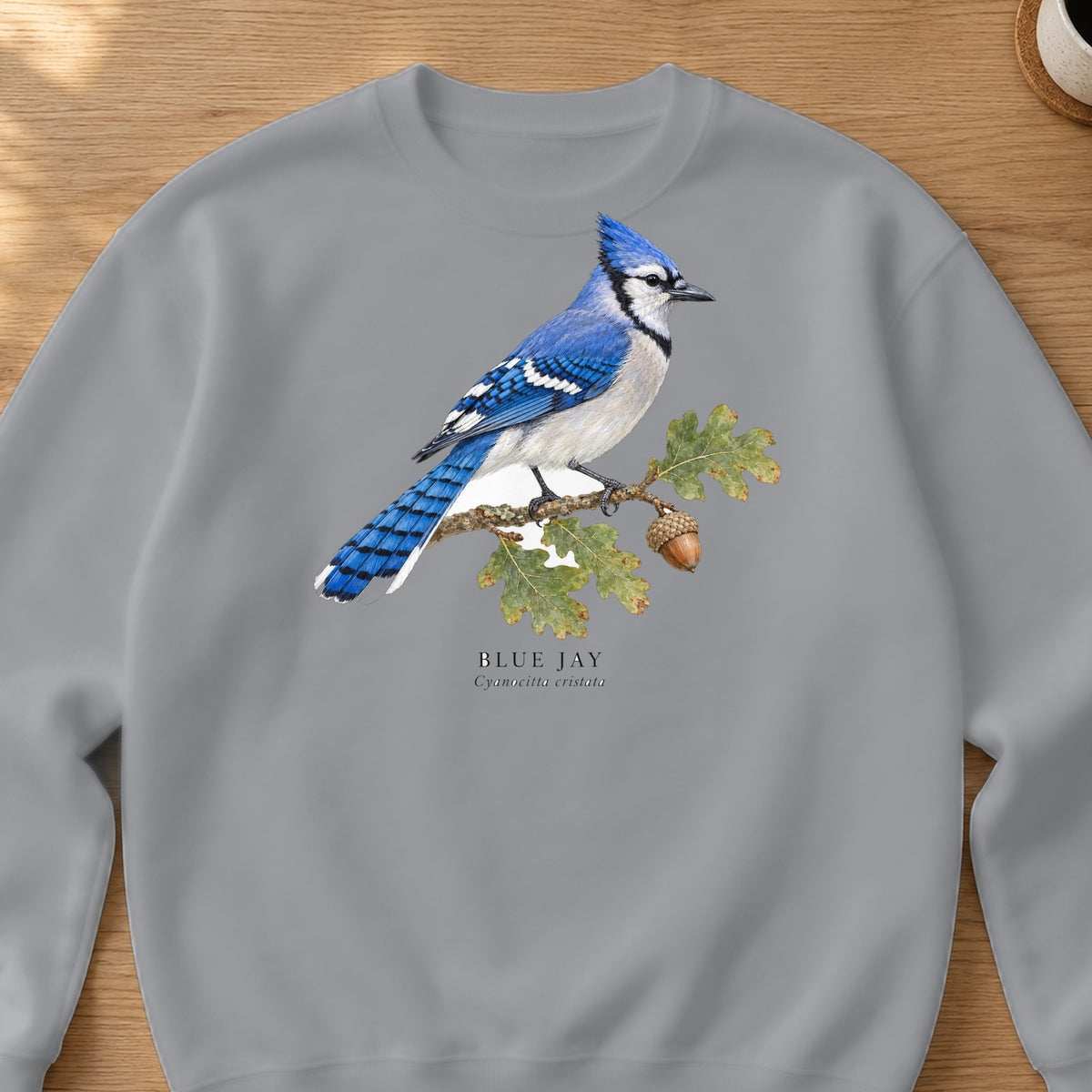 Blue Jay Field Guide Crewneck Sweatshirt – Sport Grey