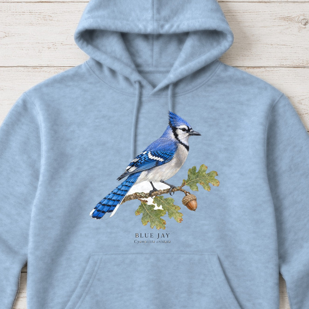 Blue Jay Field Guide Hoodie – Light Blue