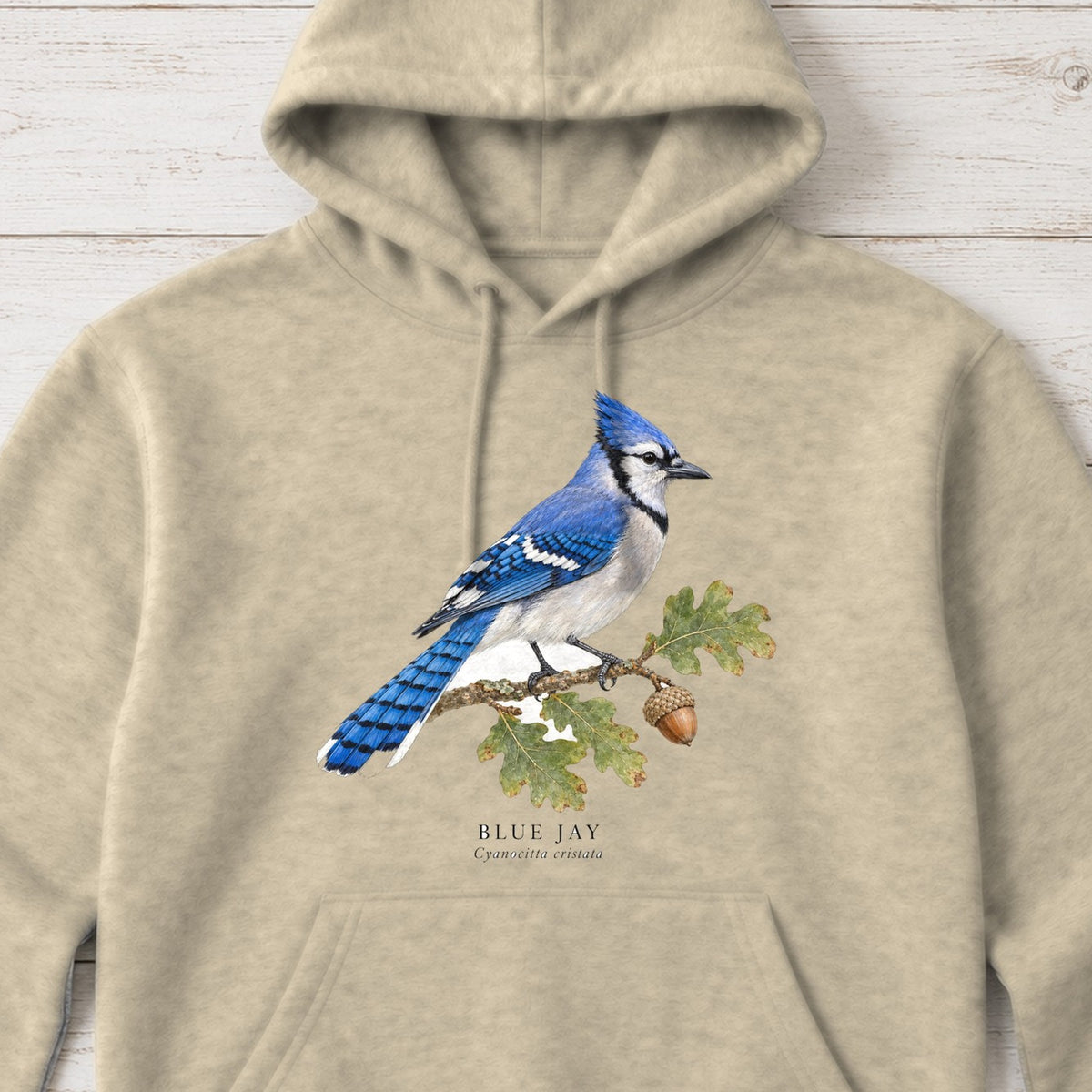 Blue Jay Field Guide Hoodie – Sand