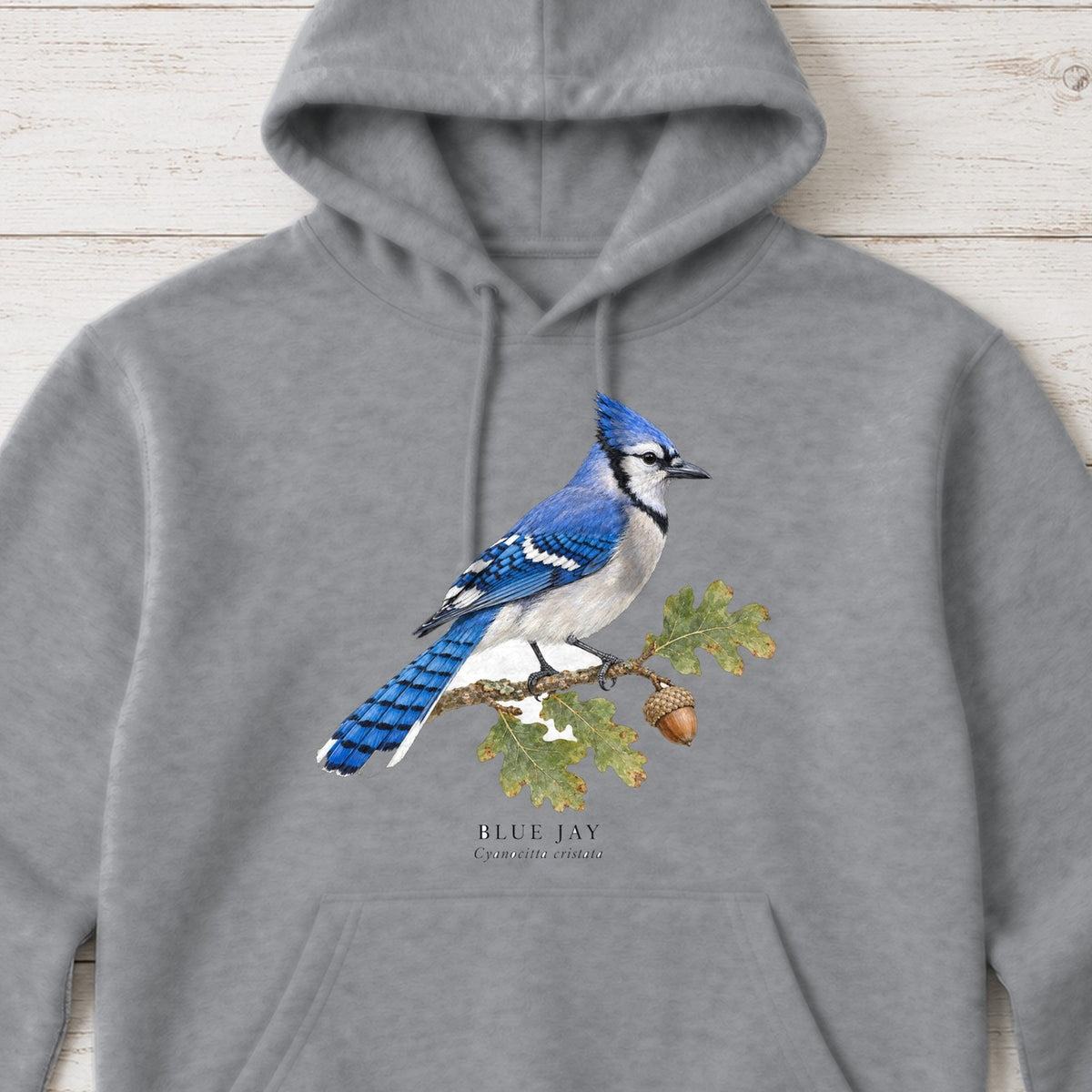 Blue Jay Field Guide Hoodie – Sport Grey