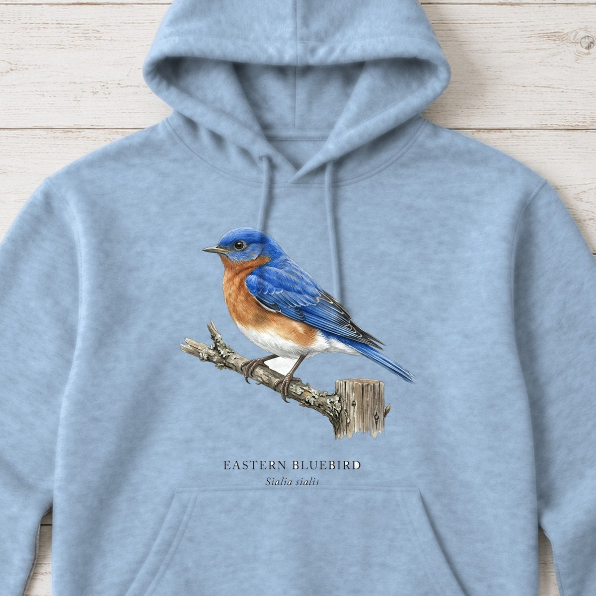 Eastern Bluebird Field Guide Hoodie – Light Blue