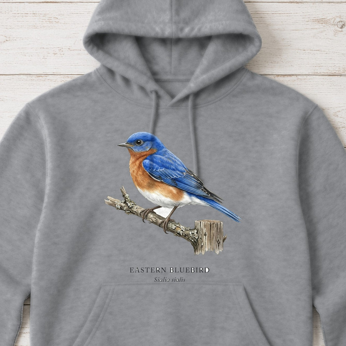 Eastern Bluebird Field Guide Hoodie – Sport Grey