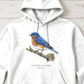Eastern Bluebird Field Guide Hoodie – White