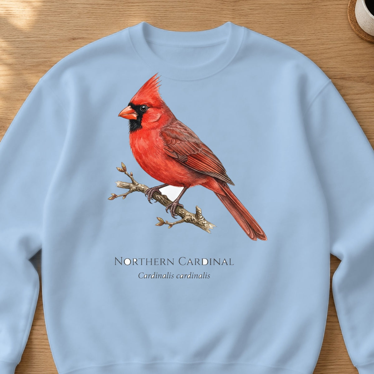 Northern Cardinal Field Guide Crewneck Sweatshirt – Light Blue