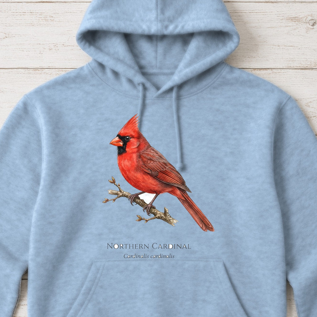 Northern Cardinal Field Guide Hoodie – Light Blue