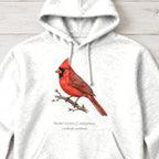 Northern Cardinal Field Guide Hoodie – White