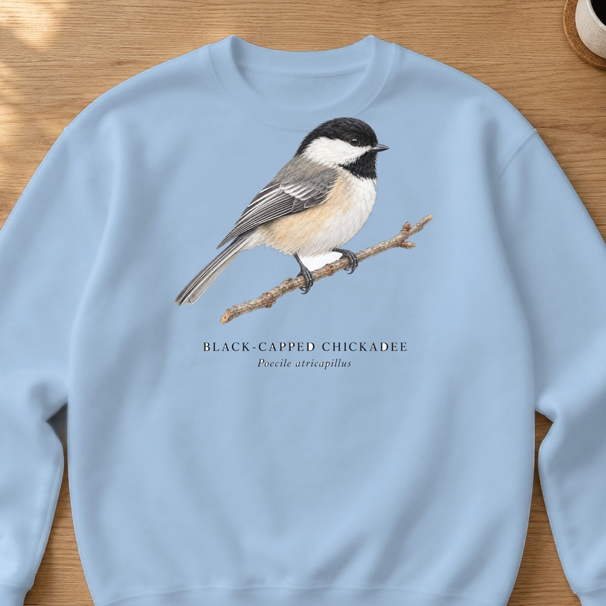Black-capped Chickadee Field Guide Crewneck Sweatshirt – Light Blue