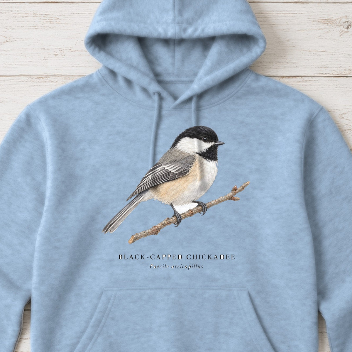 Black-capped Chickadee Field Guide Hoodie – Light Blue