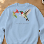 Ruby-throated Hummingbird Field Guide Crewneck Sweatshirt – Light Blue
