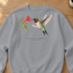 Ruby-throated Hummingbird Field Guide Crewneck Sweatshirt – Sport Grey