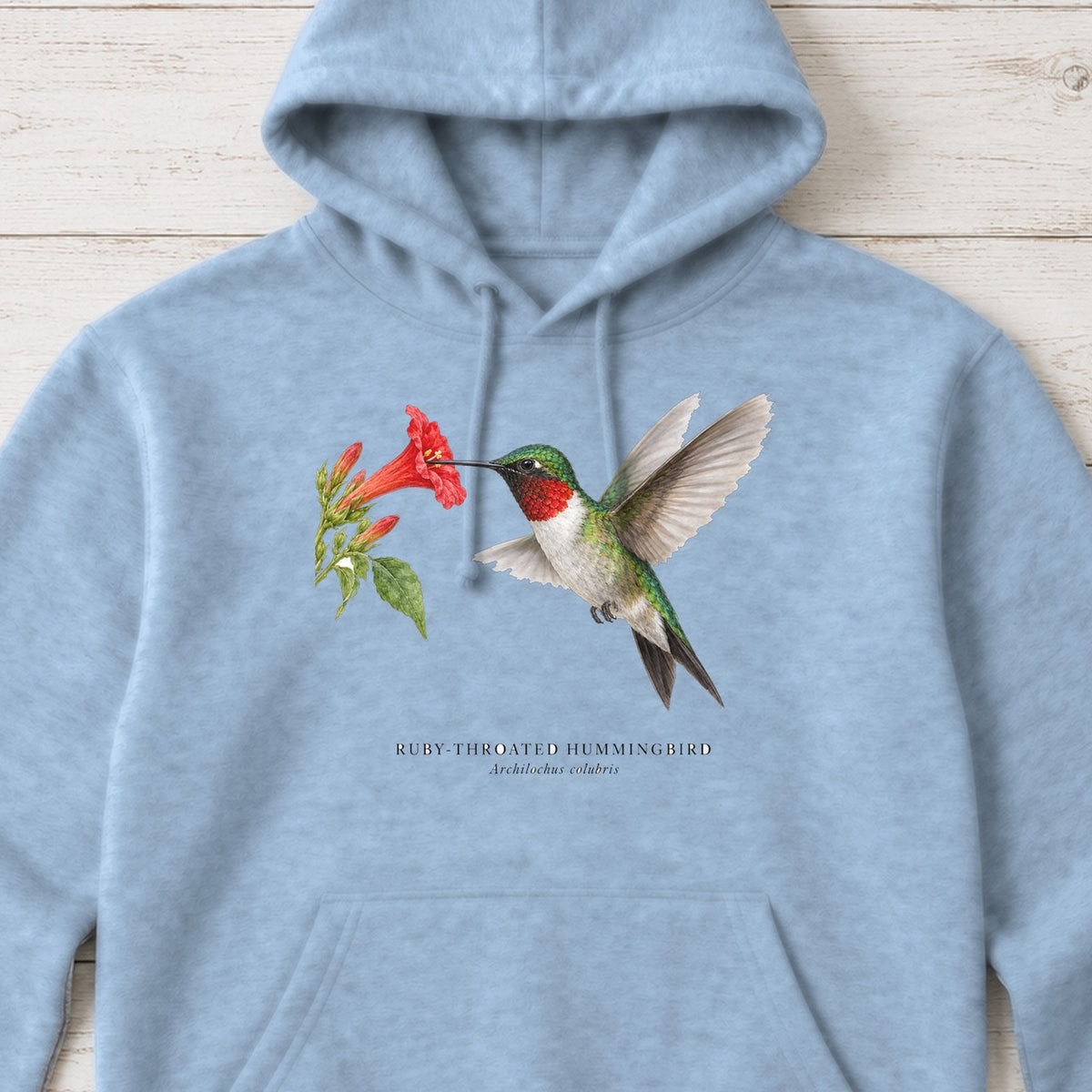 Ruby-throated Hummingbird Field Guide Hoodie – Light Blue
