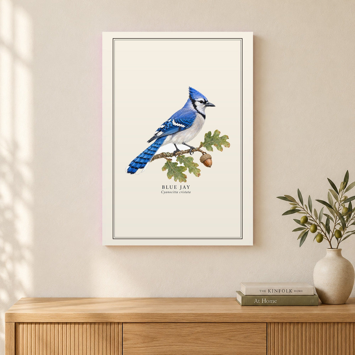 Blue Jay Field Guide Canvas Print
