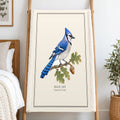 Blue Jay Field Guide Sherpa Blanket