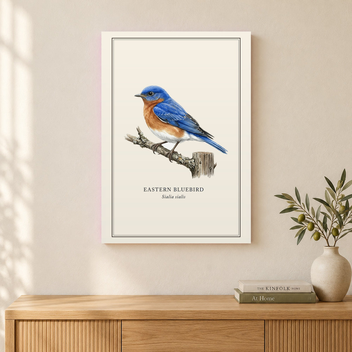Eastern Bluebird Field Guide Canvas Print