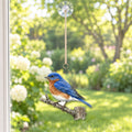 Eastern Bluebird Field Guide Suncatcher