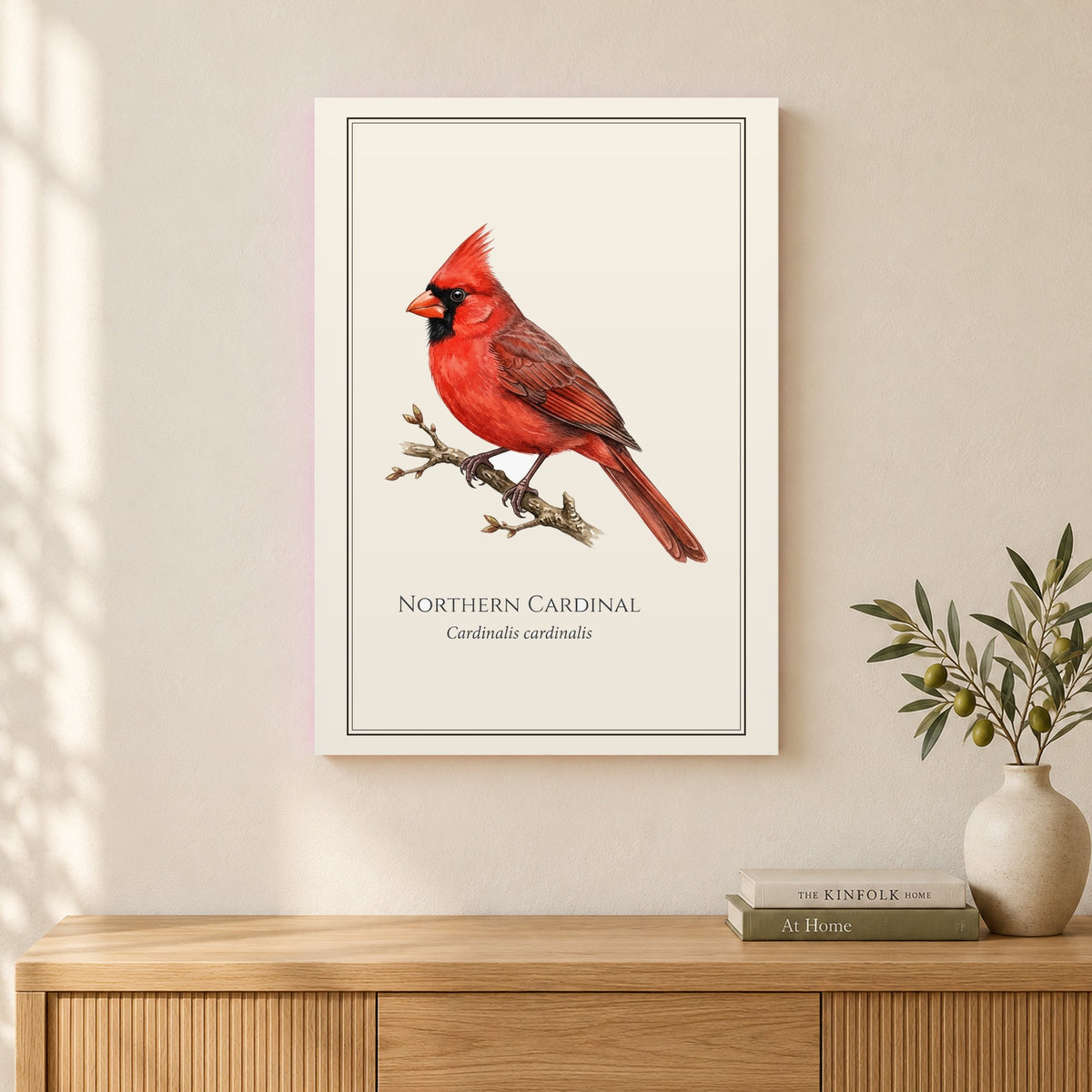 Northern Cardinal Field Guide Canvas Print