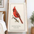 Northern Cardinal Field Guide Sherpa Blanket