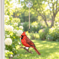 Northern Cardinal Field Guide Suncatcher