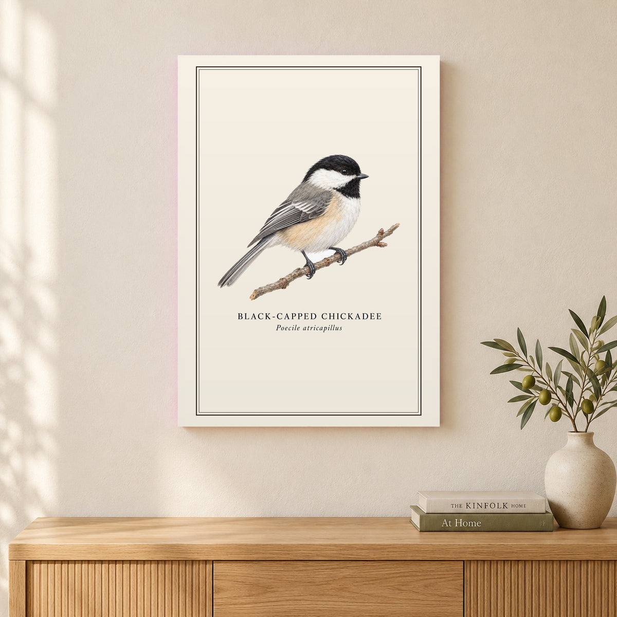 Black-capped Chickadee Field Guide Canvas Print