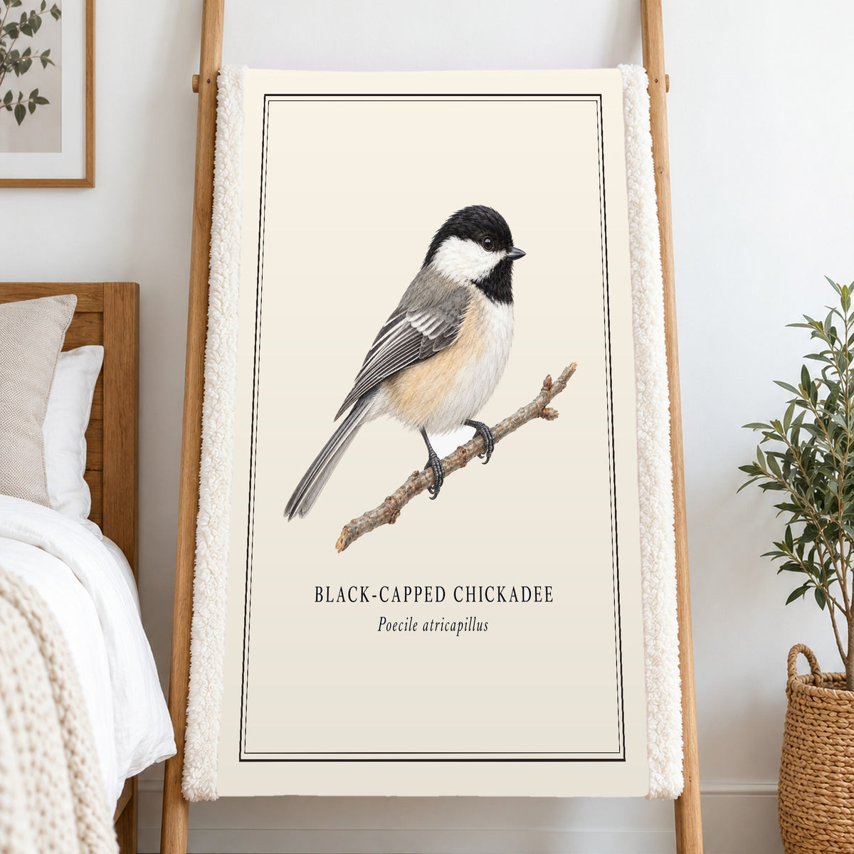 Black-capped Chickadee Field Guide Sherpa Blanket