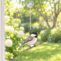 Black-capped Chickadee Field Guide Suncatcher