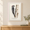 Downy Woodpecker Field Guide Canvas Print
