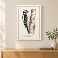 Downy Woodpecker Field Guide Canvas Print