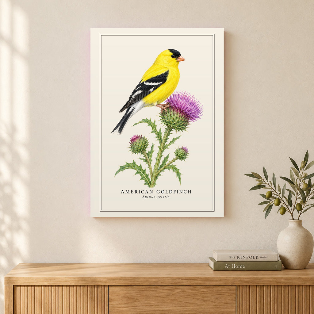 American Goldfinch Field Guide Canvas Print