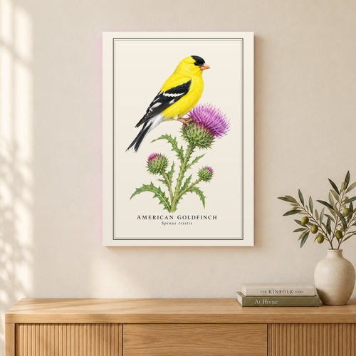 American Goldfinch Field Guide Canvas Print