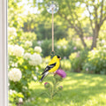 American Goldfinch Field Guide Suncatcher