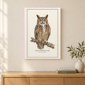 Great Horned Owl Field Guide Canvas Print