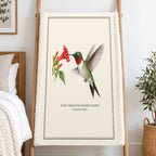 Ruby-throated Hummingbird Field Guide Sherpa Blanket