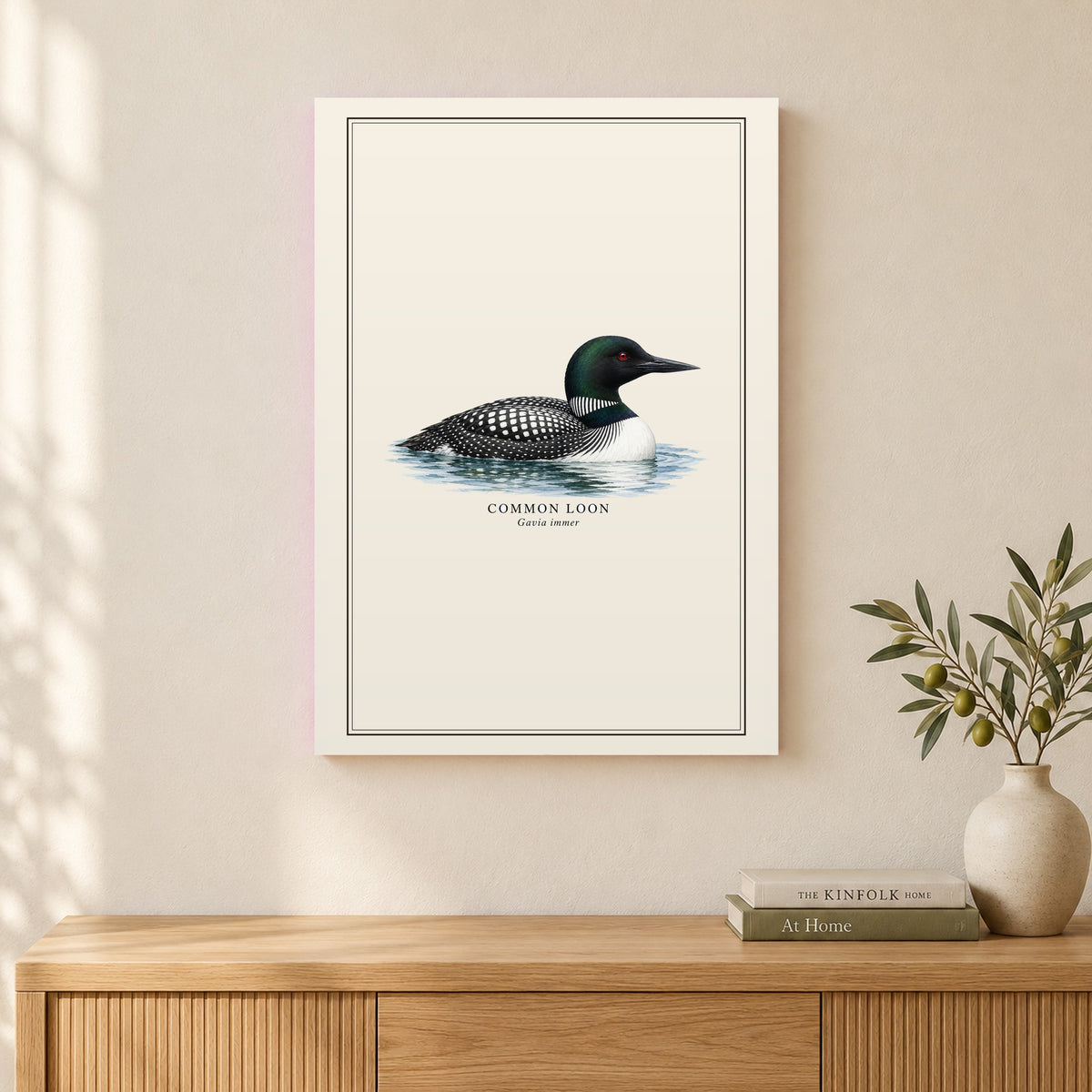 Common Loon Field Guide Canvas Print