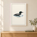 Common Loon Field Guide Canvas Print