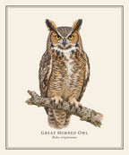 Great Horned Owl Field Guide Sherpa Blanket – design