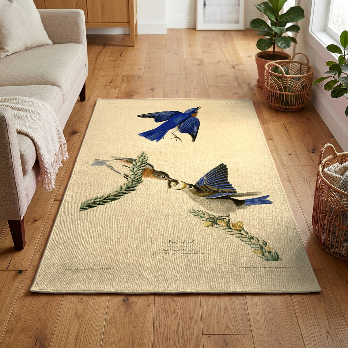 Eastern Bluebird vintage field plate area rug