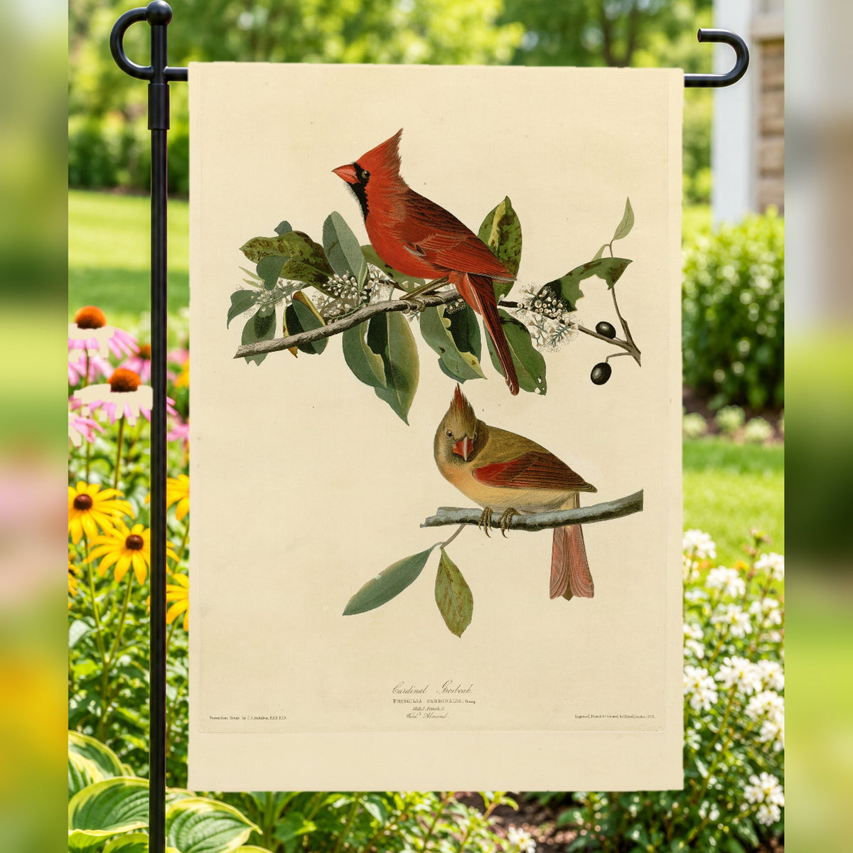 Northern Cardinal vintage field plate garden & house flag
