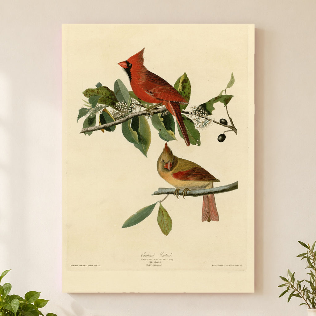 Northern Cardinal vintage field plate wall art print