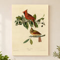 Northern Cardinal vintage field plate wall art print