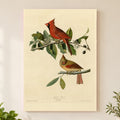 Northern Cardinal vintage field plate wall art print