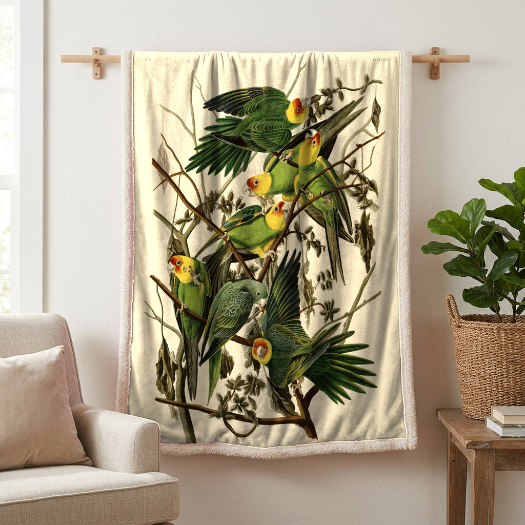 Carolina Parakeet vintage field plate sherpa blanket