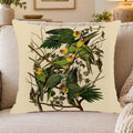 Carolina Parakeet vintage field plate throw pillow cover