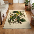 Carolina Parakeet vintage field plate area rug