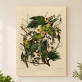 Carolina Parakeet vintage field plate wall art print