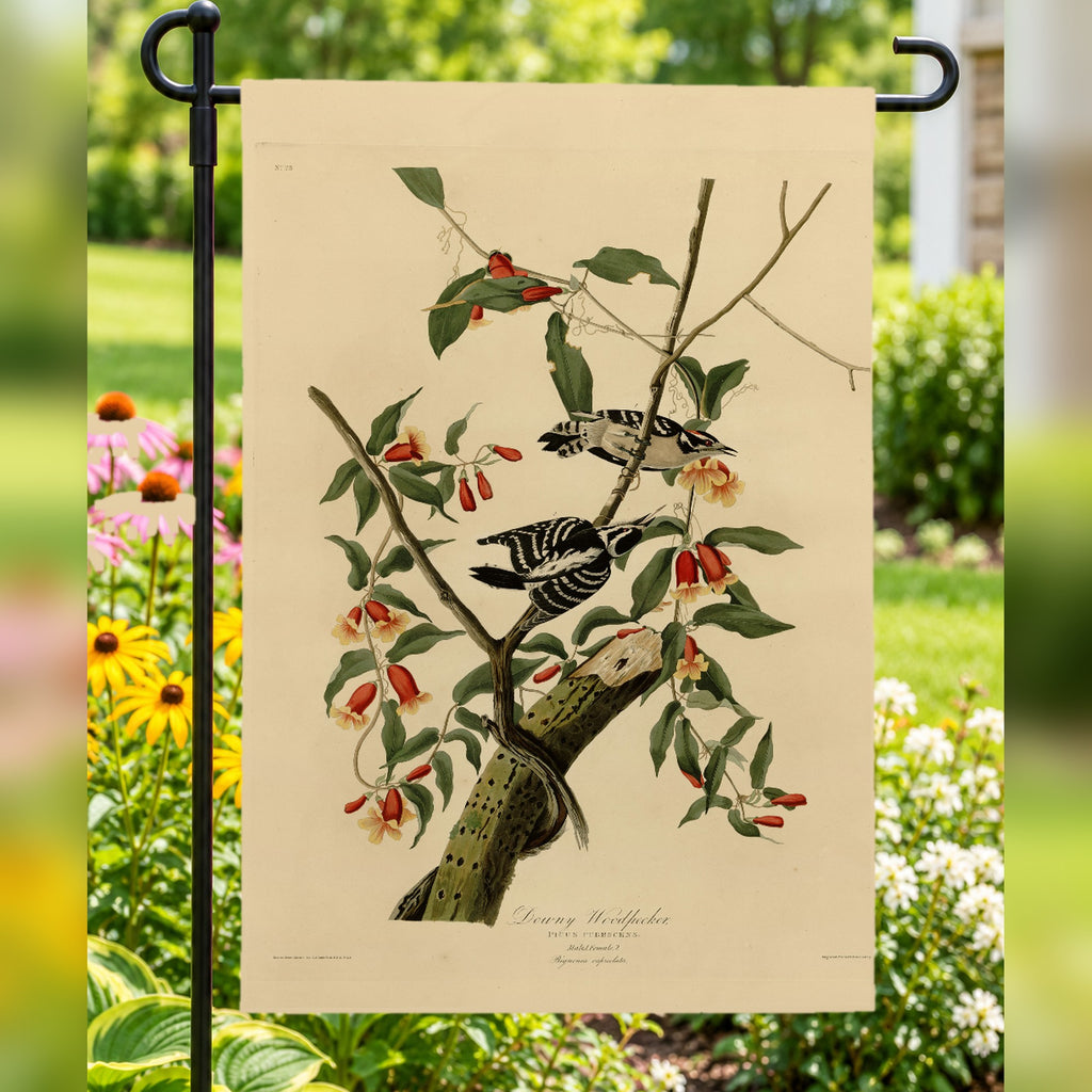 Downy Woodpecker vintage field plate garden & house flag